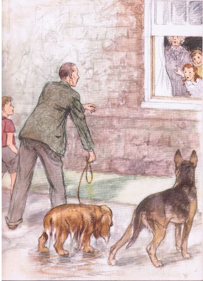 Die Spaniels waren mit Schlamm und Schleim bedeckt, aus Pets Limited veröffentlicht von Collins von George Vernon Stokes