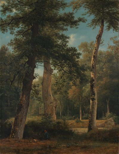 Ein Wald in Fontainebleau von Georgius Jacobus Johannes van Os