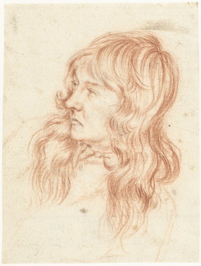 Kopf eines jungen Mannes, nach links von Gerard ter Borch (II)