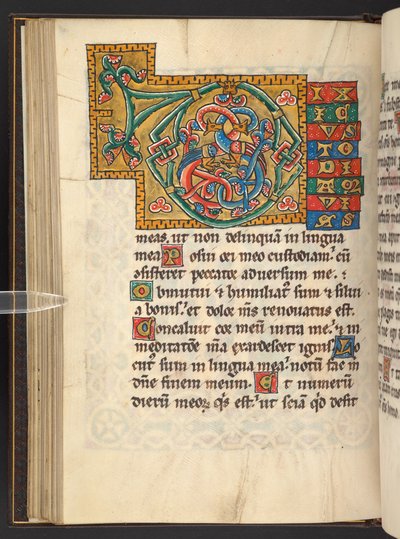 Große gerahmte Initialen in Gold und Farben mit Blatt- und manchmal zoomorphem und anthropomorphem Ornament (Pergament) von German School