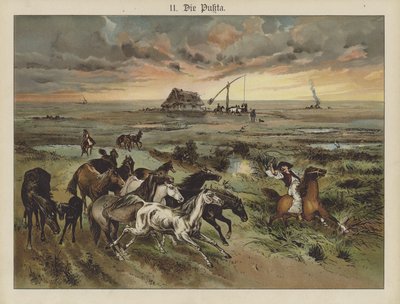Die Pukta von German School