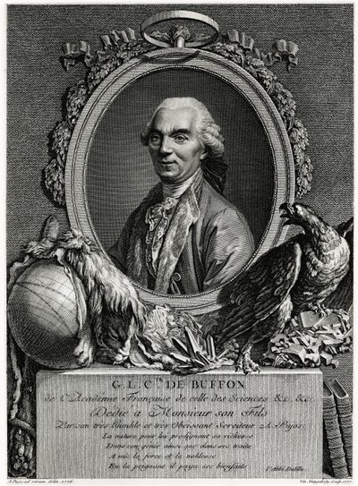 George Louis Leclerc Comte de Buffon von German School