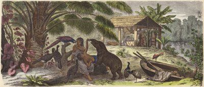 Indisches Haus am Orinoco-Fluss von German School