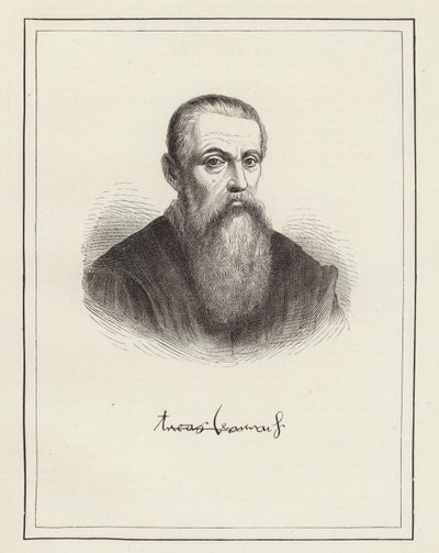 Lucas Cranach von German School