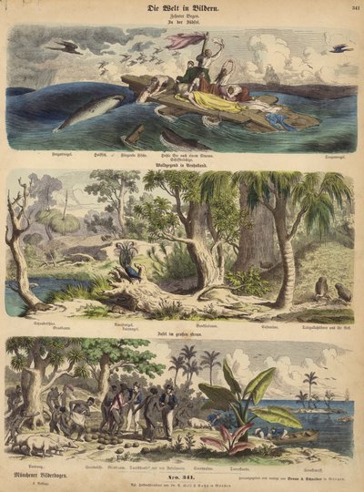 Der Pazifik: Schiffbrüchige treiben auf einem Floß in den Südsee; Wald in Neuholland (Australien); eine Pazifikinsel von German School