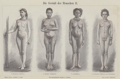 Die menschliche Figur (Stich) von German School