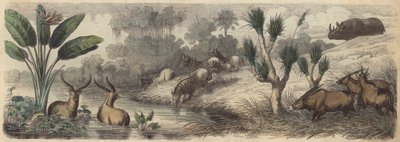 Wasserstelle in Südafrika von German School