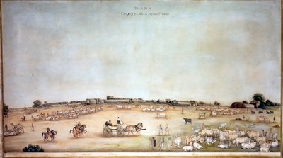 ?Dhana Colonel Skinners Farm?, 1828 von Ghulam Ali Khan