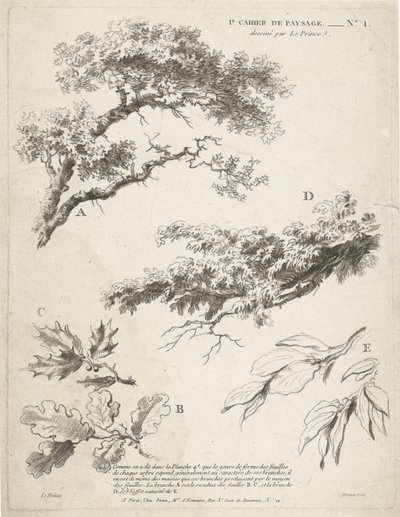 Studie von Zweigen mit Blättern von Gilles Demarteau