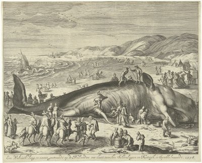 Gestrandeter Wal bei Berckhey, 1598 von Gilliam van der Gouwen