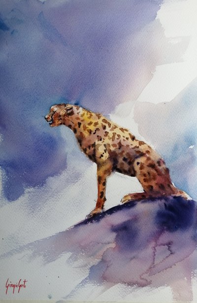 Gepard auf Felsen von Giorgio Gosti
