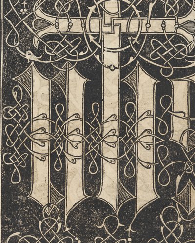 Essempio di recammi, Seite 17 recto von Giovanni Antonio Tagliente