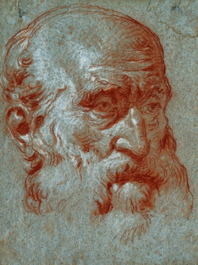 Kopf eines venezianischen Patriziers, Dreiviertelansicht von Giovanni Battista Tiepolo
