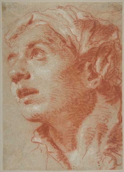 Kopf eines jungen Mannes in Dreiviertelansicht von Giovanni Battista Tiepolo