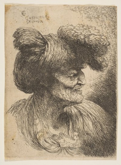 Büste eines bärtigen alten Mannes im Profil nach rechts, ca. 1645-50 von Giovanni Benedetto Castiglione