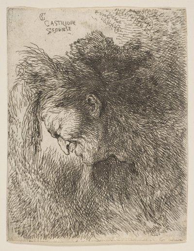Kopf eines alten Mannes, der nach unten schaut, nach links gewandt, aus der Serie der kleinen Köpfe, ca. 1645-1650 von Giovanni Benedetto Castiglione