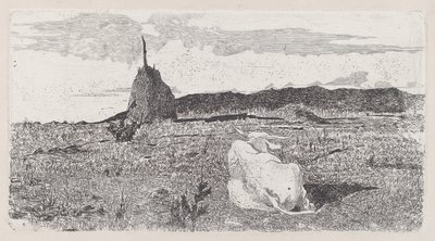 Heilige Kuh [Pio bove] von Giovanni Fattori