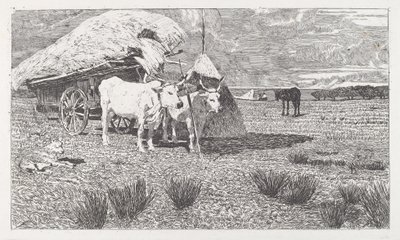Ochsen am Wagen (Maremma) von Giovanni Fattori