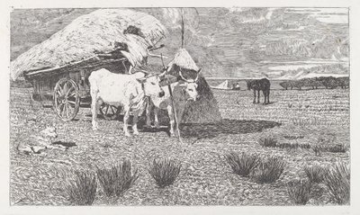 Ochsen, die an den Wagen gespannt sind (Maremma) von Giovanni Fattori