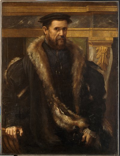 Porträt eines Mannes, um 1550 von Girolamo da Carpi