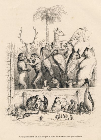 Gespräch zwischen Tieren. Vignetten illustriert von JJ Granville. Gravur signiert Breviere im Prolog "Resume parlementaire" geschrieben von PJ Stahl in "Scenes de la vie privee et publique des animaux". Paris, J. Hetzel et Paulin von Grandville