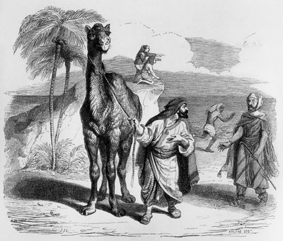 La Fontaines Fabel (von Jean de La Fontaine): das Kamel und die schwimmenden Stöcke, Stich von J.J. Grandville, ca. 1838-40 von Grandville (1803 47)