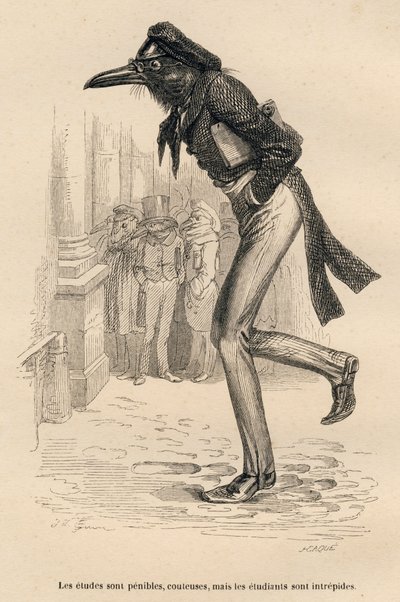 Studien sind mühsam, kostspielig, aber die Studenten sind unerschrocken. Vignetten illustriert von JJ Granville. Gravur signiert Caque im Teil "Die Tierärzte" geschrieben von Pierre Bernard in "Szenen aus dem privaten und öffentlichen Leben der Tiere" von Grandville