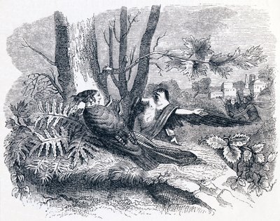 Philomele & Progne - Fabeln von La Fontaine von Grandville