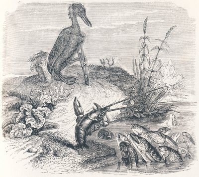 Die Fische und der Kormoran (Les poissons et le cormoran) - Fabeln von La Fontaine von Grandville