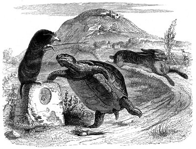 Der Hase und die Schildkröte: Fabel von La Fontaine, illustriert von Grandville von Grandville (1803 47)