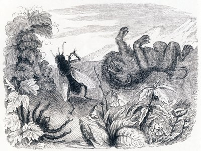 Der Löwe und der Nebel - Fabeln von La Fontaine von Grandville