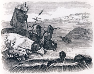 Die zwei Hunde und der tote Esel - Fabeln von La Fontaine von Grandville