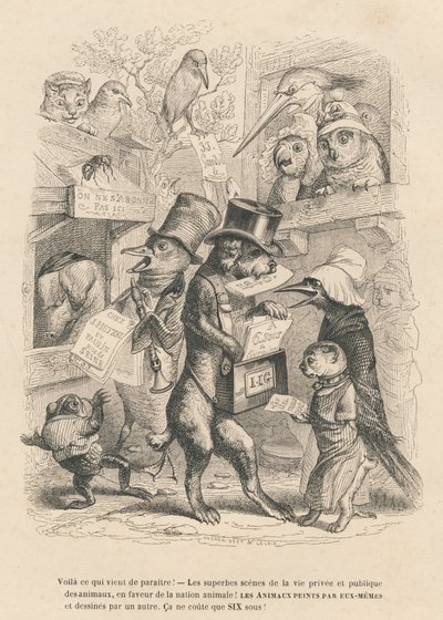 Hier ist, was gerade erschienen ist. Katze und Vogel verkaufen das vorliegende Buch für sechs Sous. Illustrierte Vignetten von JJ Granville. Gravur signiert Andrew, Best und Leloir im Prolog "Parlamentarische Zusammenfassung" geschrieben von PJ Stahl in "S von Grandville