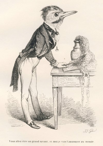 Du wirst ein großer Gelehrter sein, und ich werde es der Welt verkünden. Vignetten illustriert von JJ Granville. Gravur signiert Tamisier im Teil "Esel-Führer für Tiere, die zu Ehren gelangen wollen" geschrieben von Honoré De Balzac in von Grandville