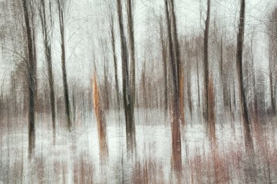 Abstrakter Winterwald von Gustav Davidsson