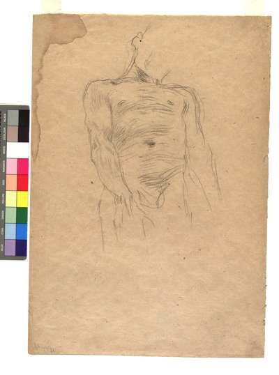 Männlicher Torso von Gustav Klimt
