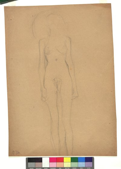 Stehender weiblicher Akt von Gustav Klimt