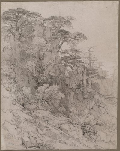 Bäume auf einem felsigen Hügel, späte 1800er Jahre von Gustave Achille Guillaumet