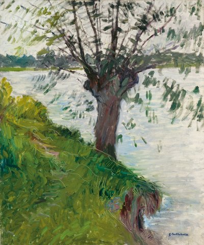 Weide am Fluss; Saule au bord de la rivière, ca. 1891 von Gustave Caillebotte
