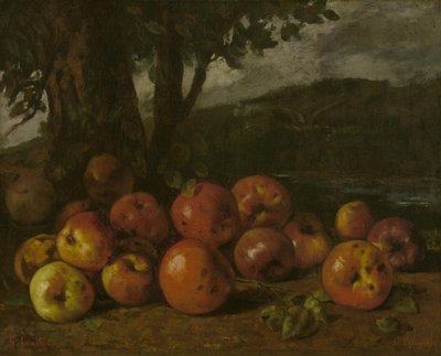 Stillleben mit Äpfeln von Gustave Courbet