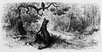 Der Rabe und der Fuchs (Gravur) von Gustave Dore