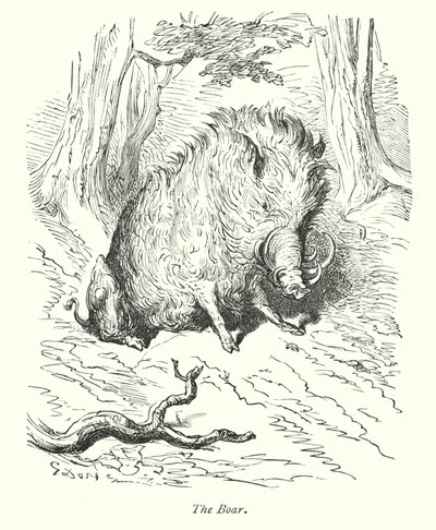 Der Eber (Gravur) von Gustave Dore