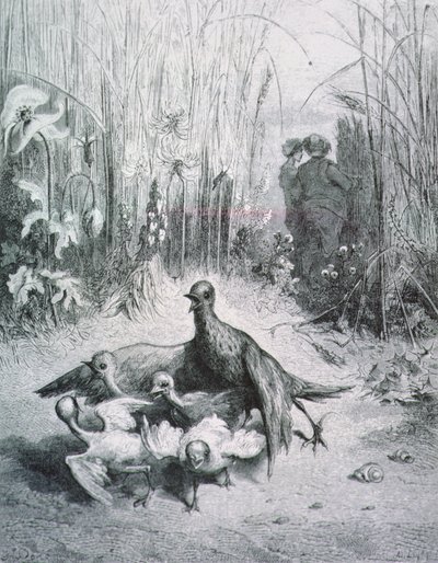 Die Fabel von der Lerche, ihren Jungen und dem Feldherrn, Illustration für die Fabeln von La Fontaine von Gustave Dore