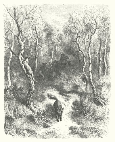 Die Fabeln von La Fontaine: Die Katze und der Fuchs (Gravur) von Gustave Dore