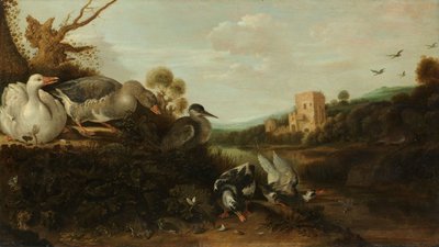 Wasservögel von Gysbert Hondecoeter