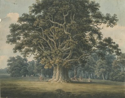 Needwood - Swilcar Oak: Aquarellmalerei von H Moore