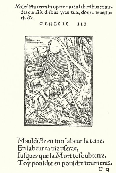 Der Fluch auf Erde und Mensch (Gravur) von Hans (after) Holbein the Younger