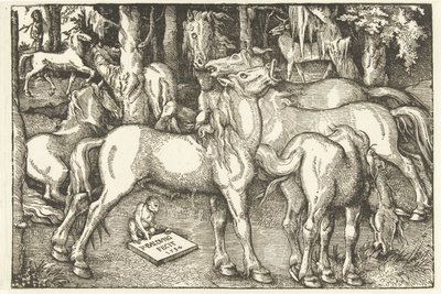 Gruppe von sieben Pferden und einem Affen von Hans Baldung Grien