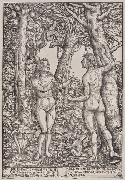 Der Sündenfall von Adam und Eva von Hans Burgkmair