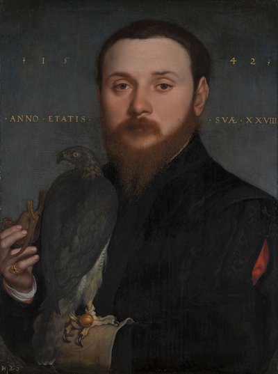 Porträt eines Edelmanns mit einem Falken, 1542 von Hans Holbein der Jüngere